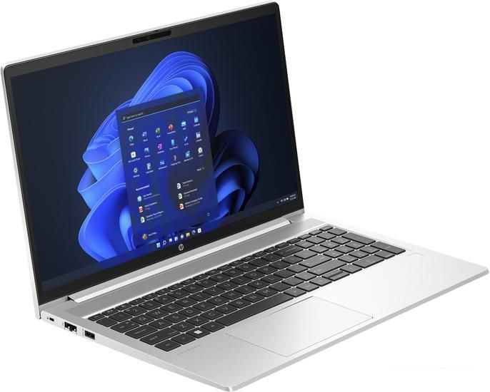 Ноутбук HP ProBook 450 G10 816N8EA