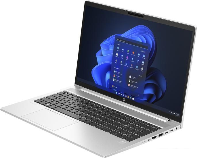 Ноутбук HP ProBook 450 G10 816N8EA