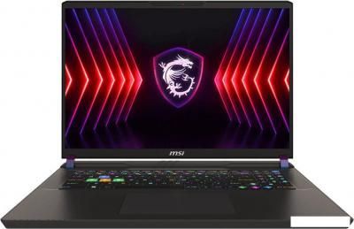 Игровой ноутбук MSI Vector 17 HX A14VIG-899RU